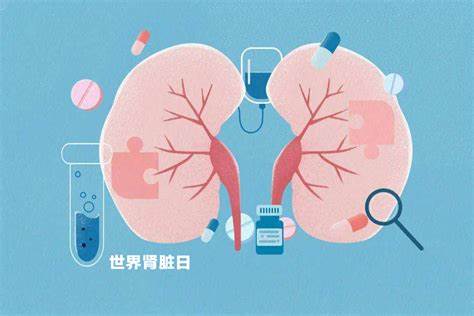 針對急性腎損傷工程化外泌體
